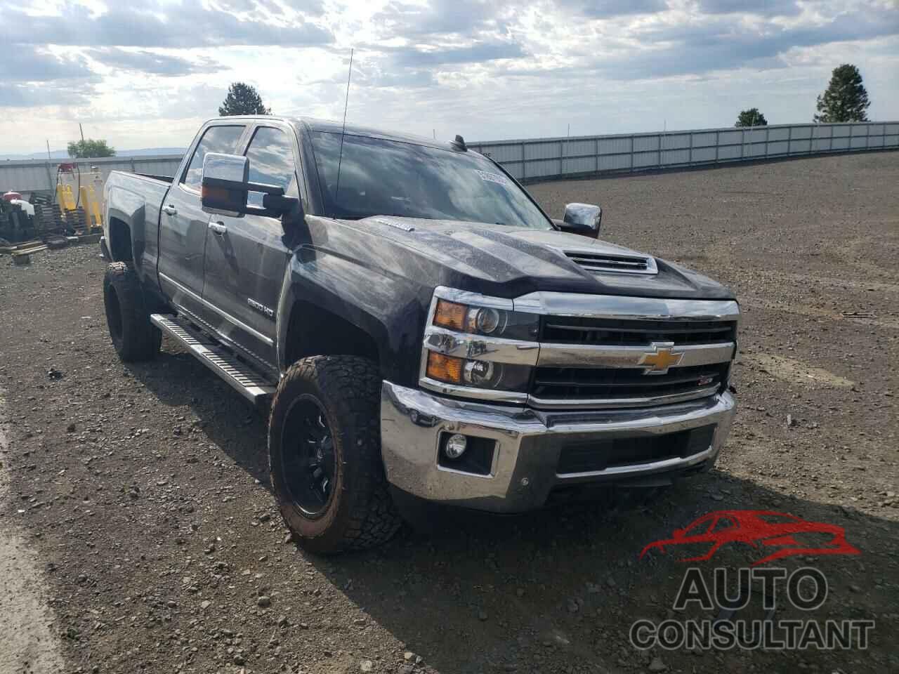 CHEVROLET SILVERADO 2019 - 1GC1KTEY9KF105361