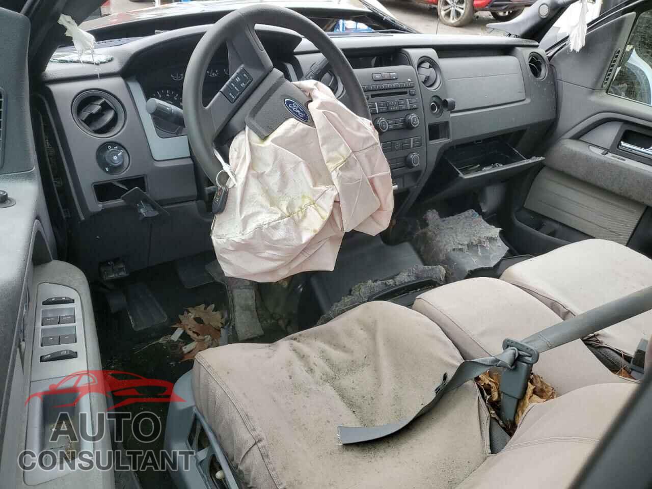 FORD F-150 2013 - 1FTFX1EF0DFD29518