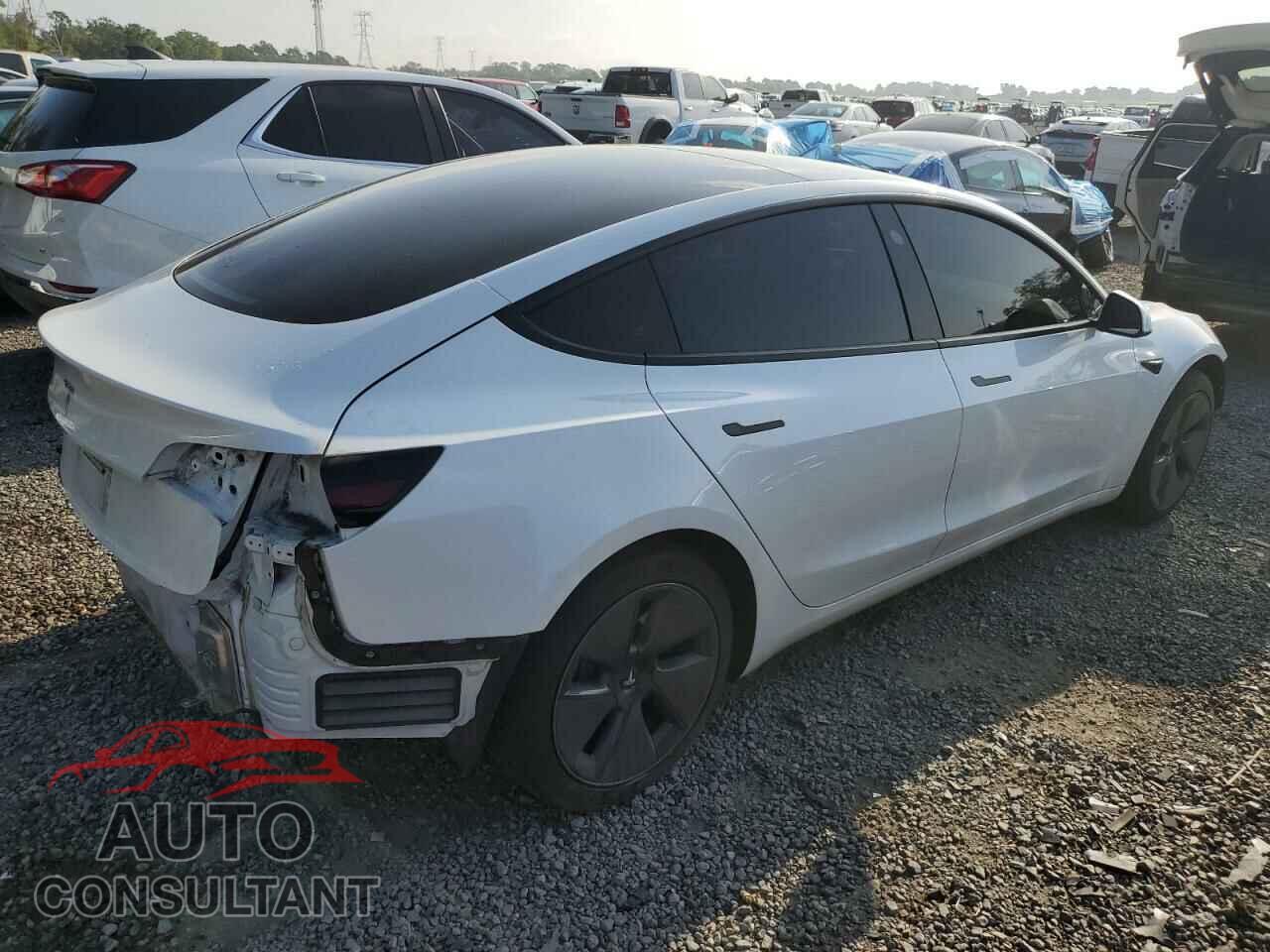 TESLA MODEL 3 2021 - 5YJ3E1EA3MF855031