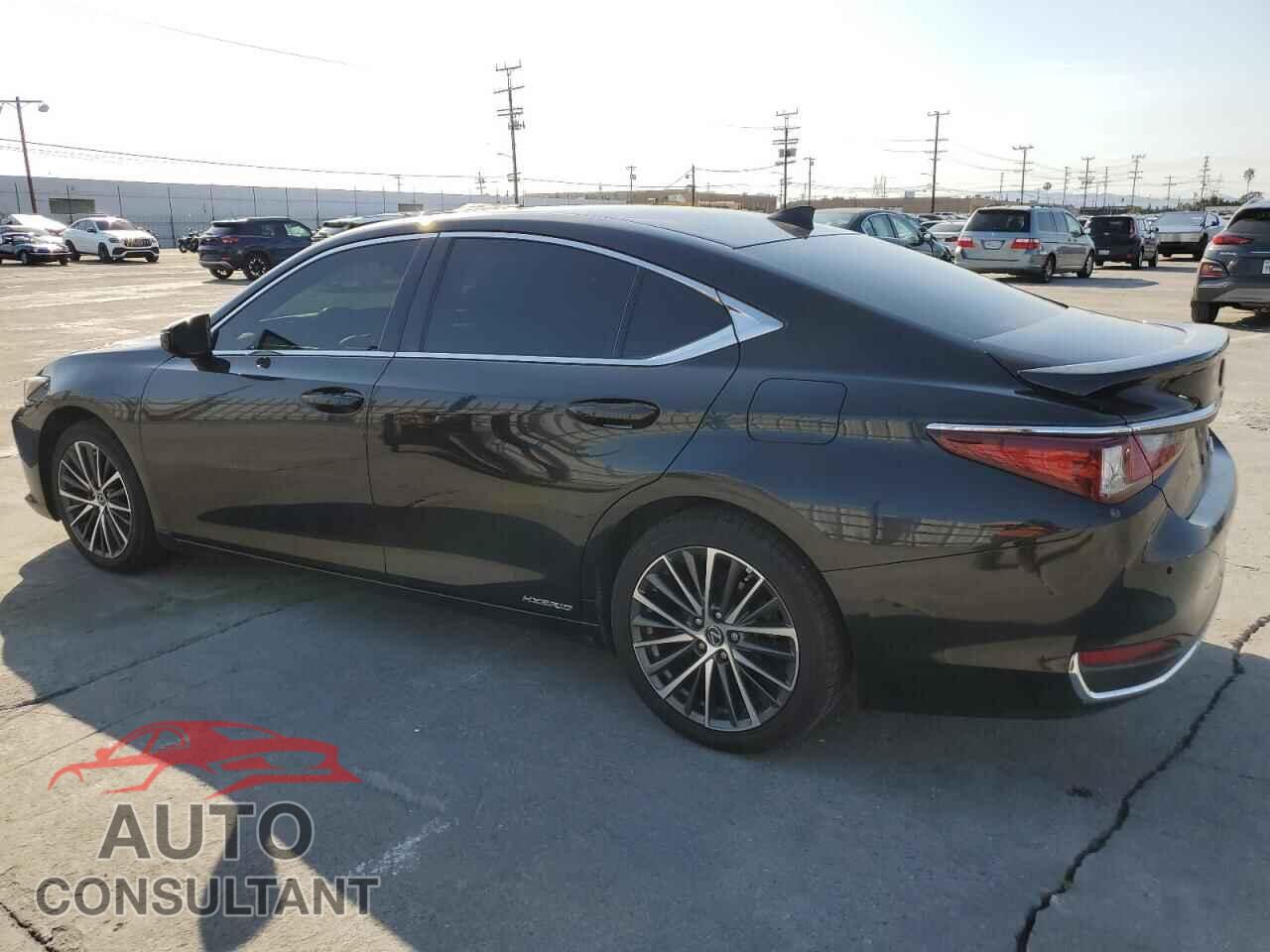LEXUS ES300 2022 - 58ADA1C10NU018236