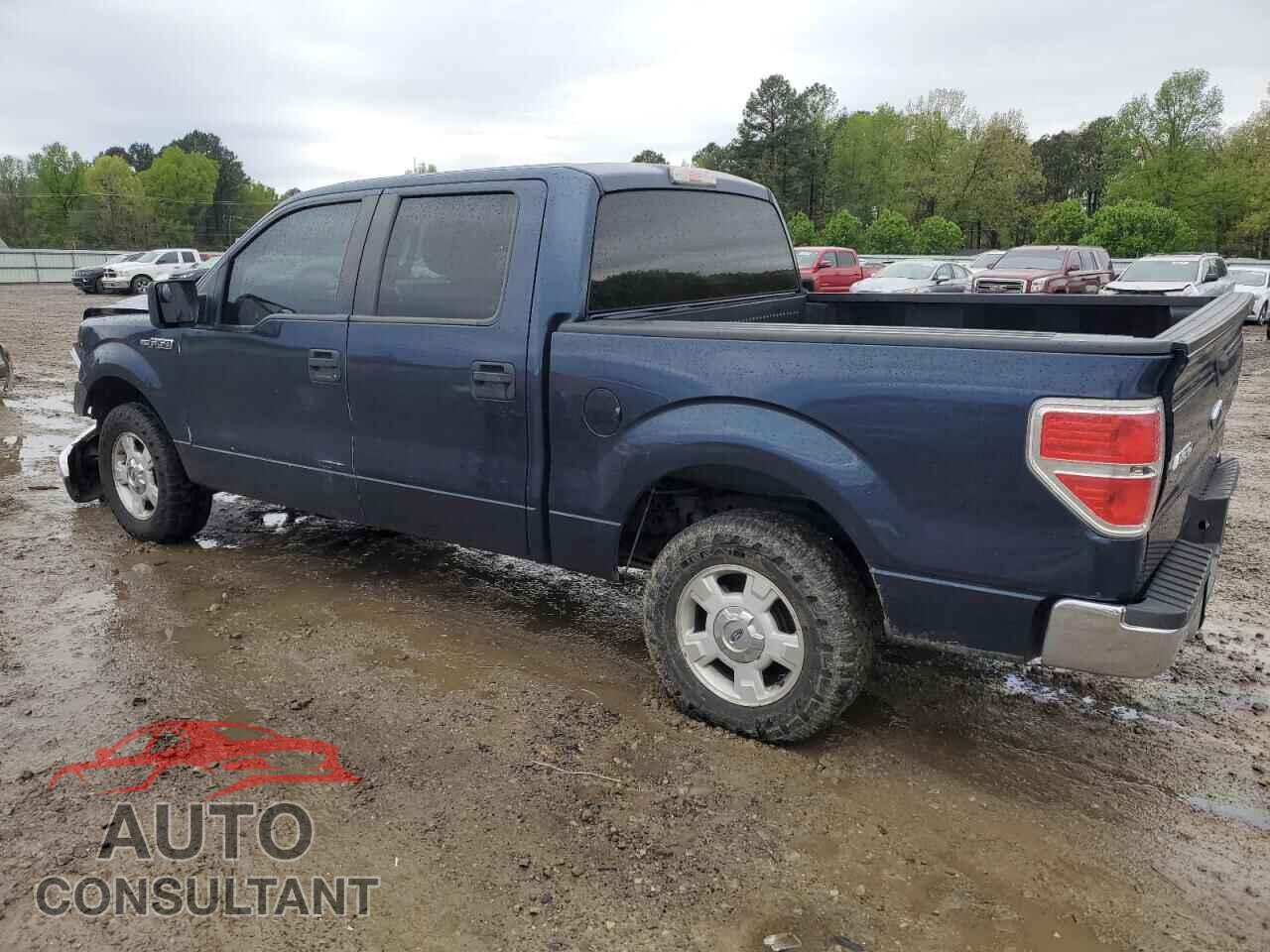 FORD F-150 2013 - 1FTEW1CM4DFB49863