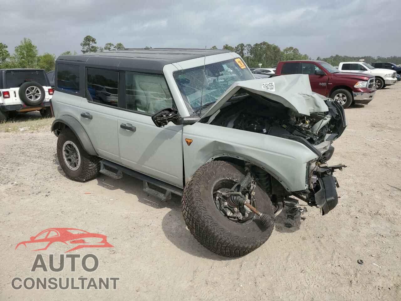 FORD BRONCO 2023 - 1FMEE5DH3PLB94709