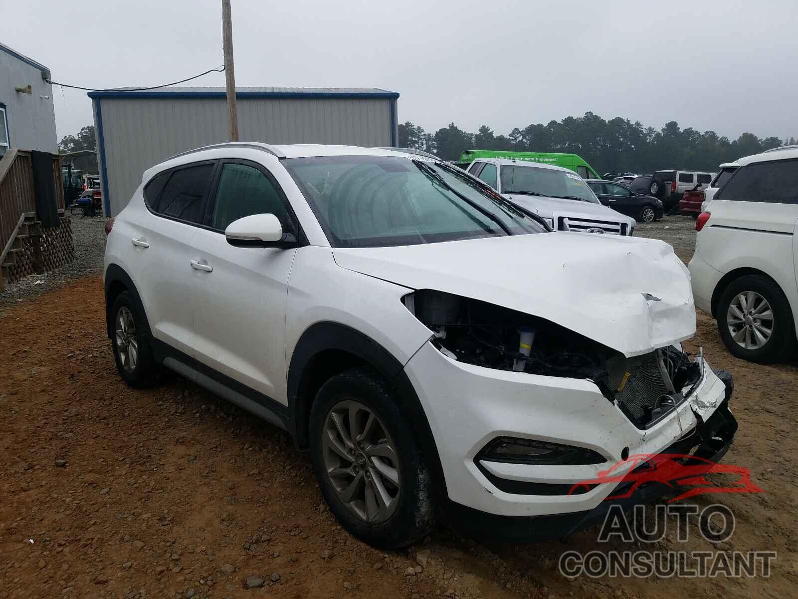 HYUNDAI TUCSON 2017 - KM8J33A40HU514638
