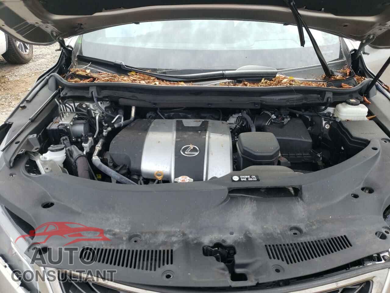 LEXUS RX350 2021 - 2T2SZMDA2MC268189