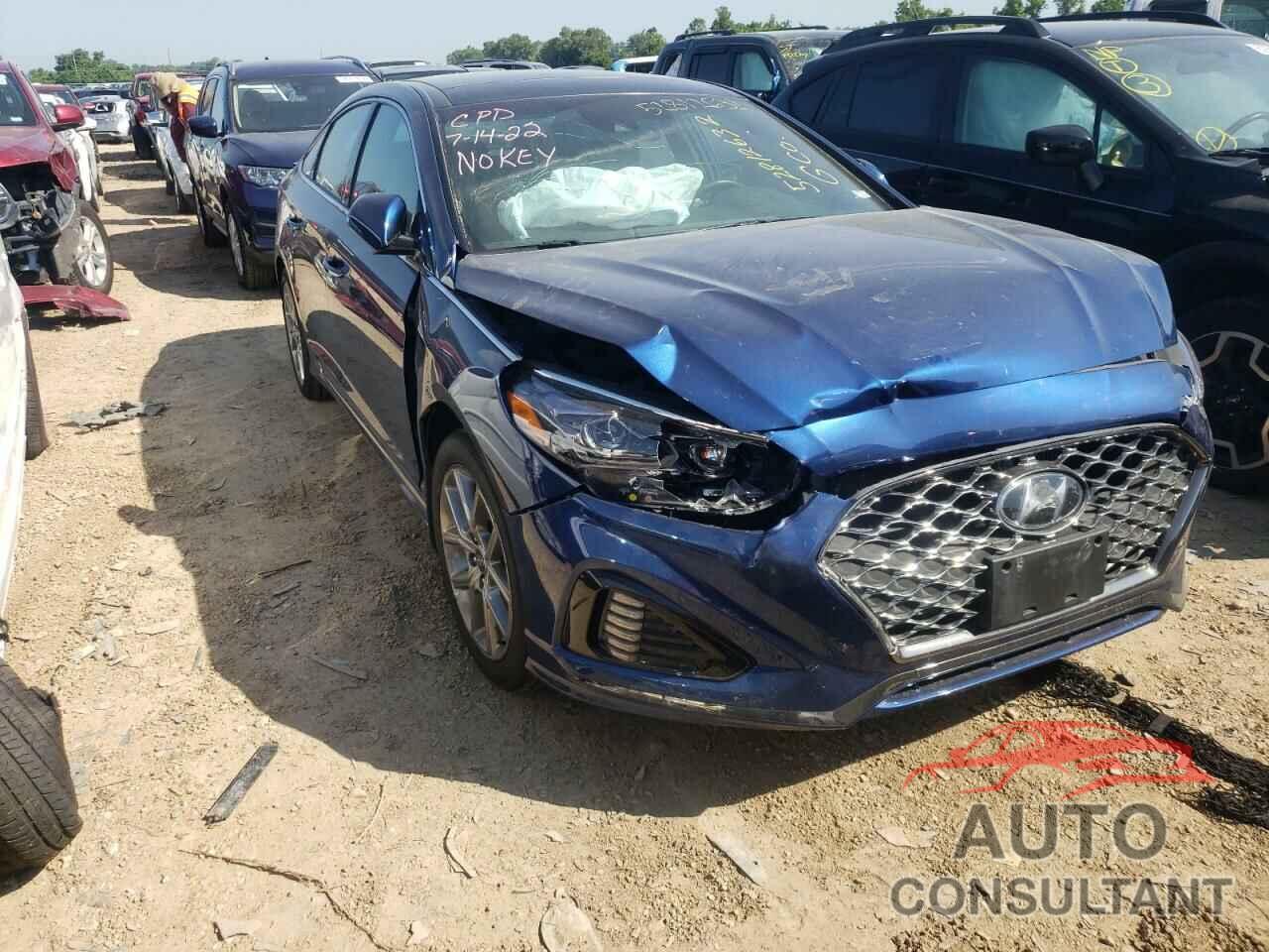 HYUNDAI SONATA 2019 - 5NPE34ABXKH800413