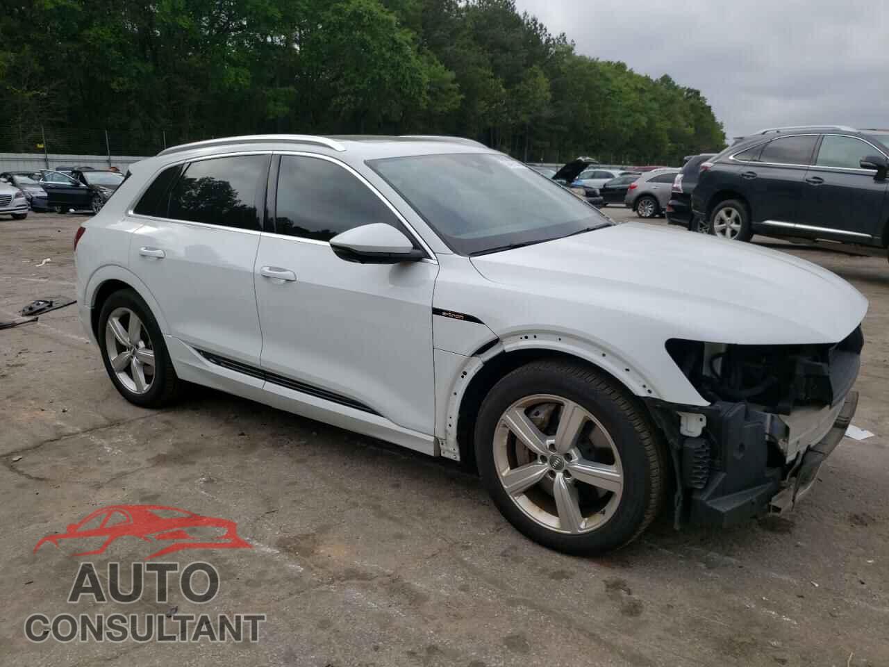 AUDI E-TRON 2019 - WA1LAAGE3KB020424