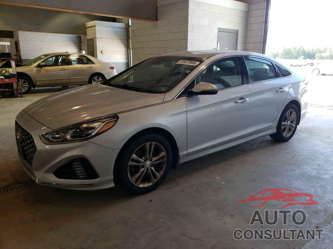 HYUNDAI SONATA 2019 - 5NPE34AF9KH800938