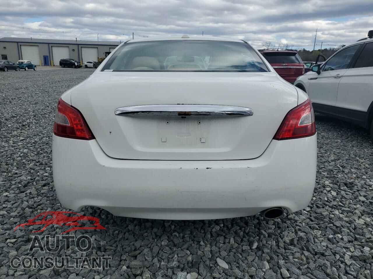 NISSAN MAXIMA 2011 - 1N4AA5AP1BC867179