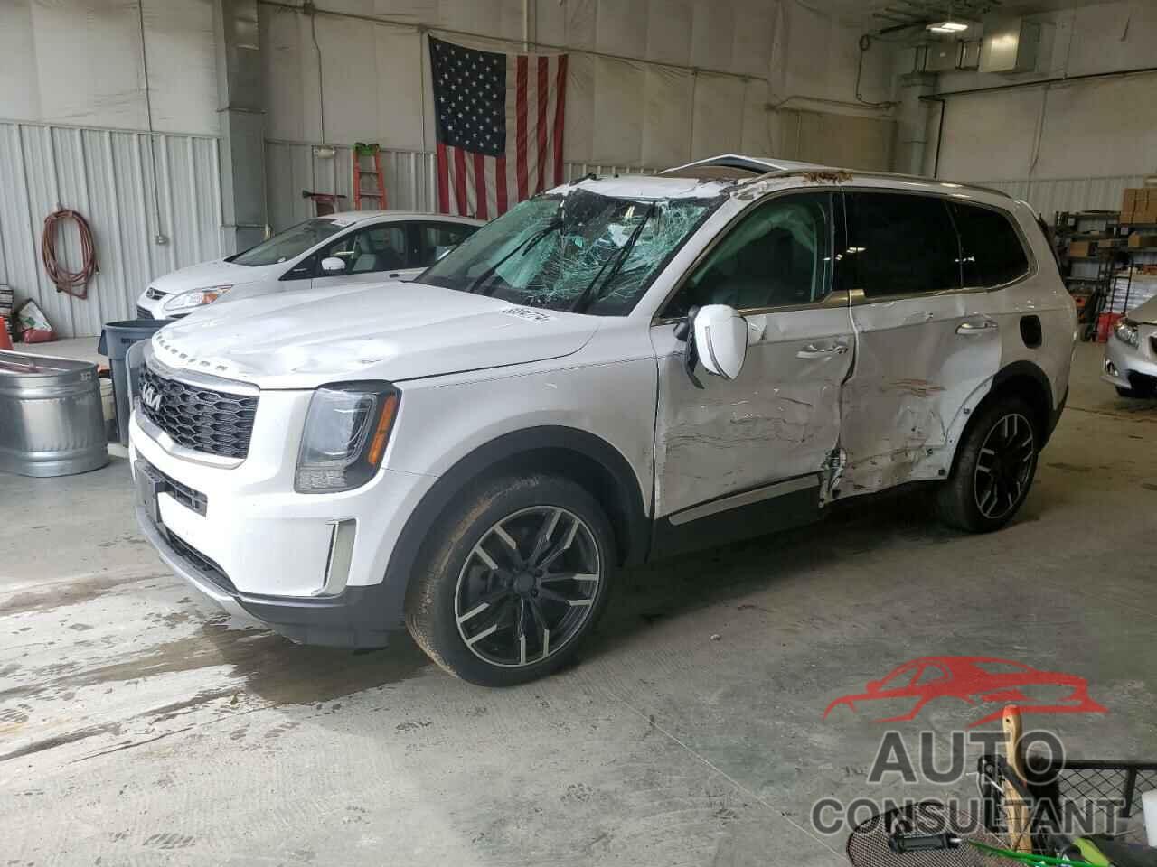 KIA TELLURIDE 2022 - 5XYP64HC9NG198419