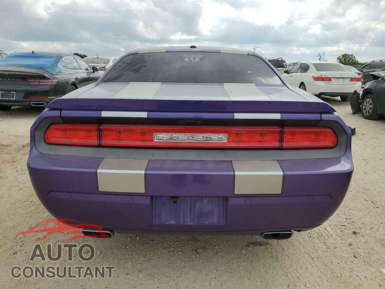 DODGE CHALLENGER 2013 - 2C3CDYBTXDH671611