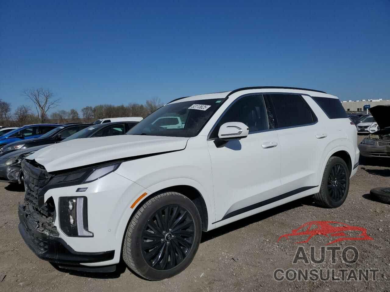 HYUNDAI PALISADE 2024 - KM8R7DGEXRU712125