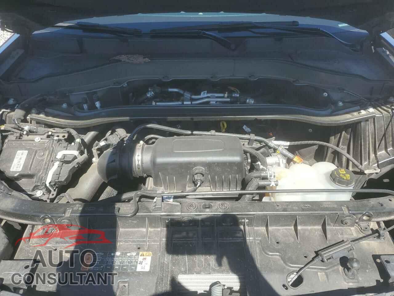 FORD EXPLORER 2022 - 1FMSK7FH5NGA64411