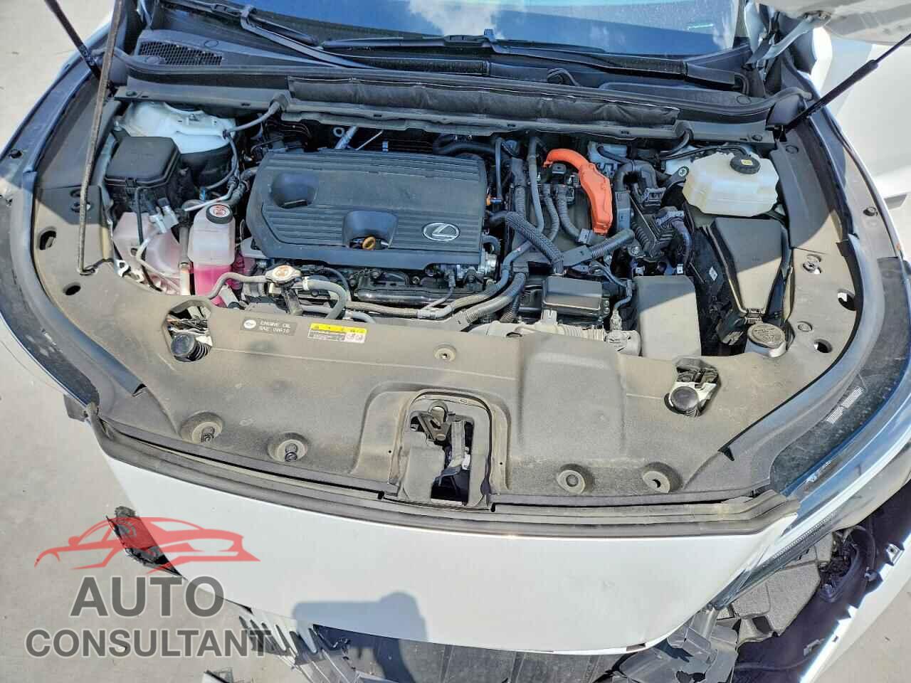 LEXUS UNKNOWN 2024 - 2T2BBMCA6RC025398