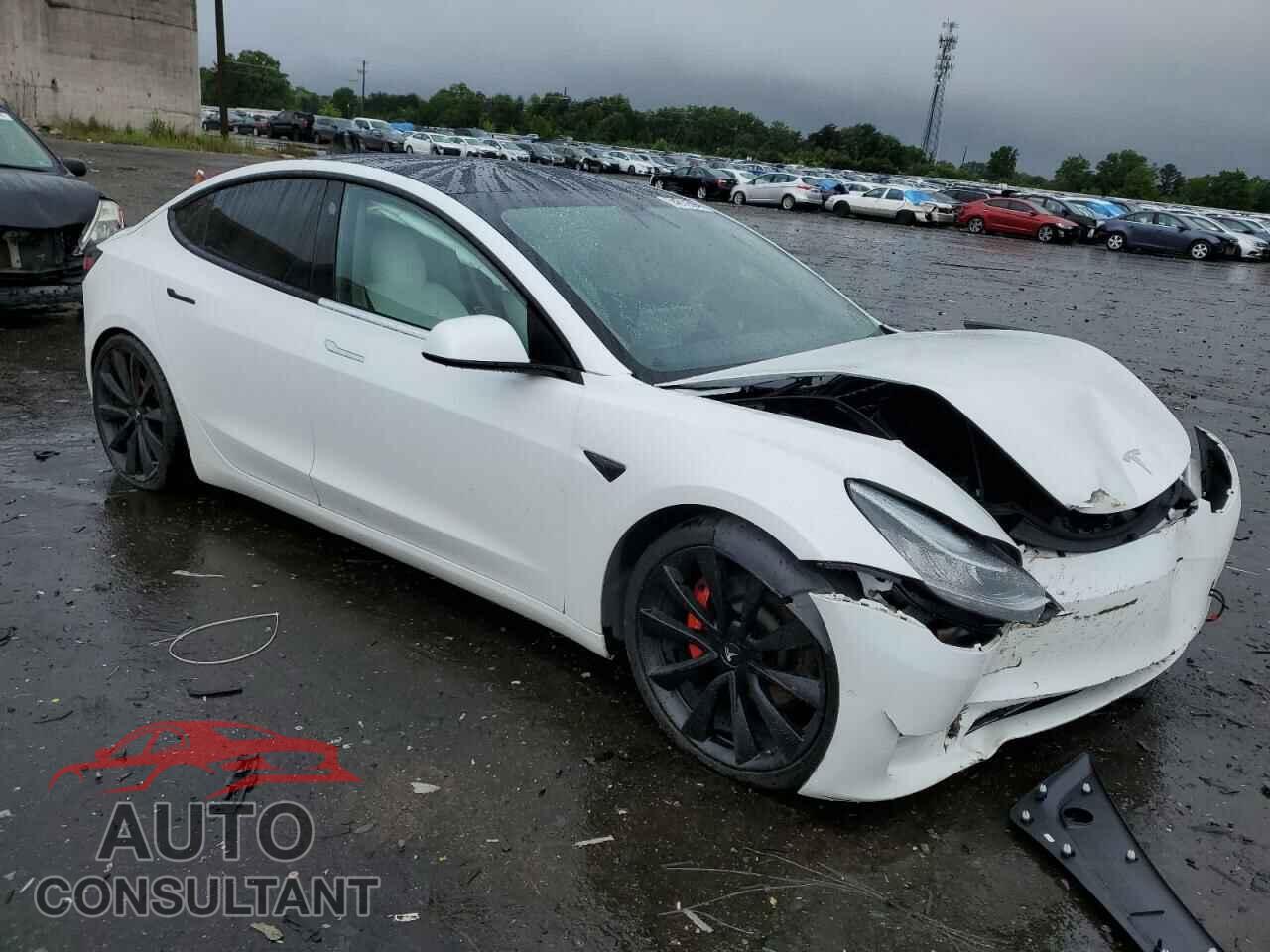 TESLA MODEL 3 2019 - 5YJ3E1EB7KF423192