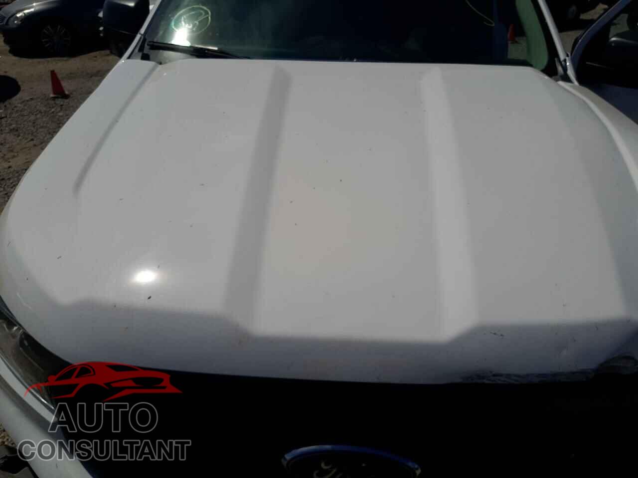 FORD RANGER 2021 - 1FTER1FH8MLD03840
