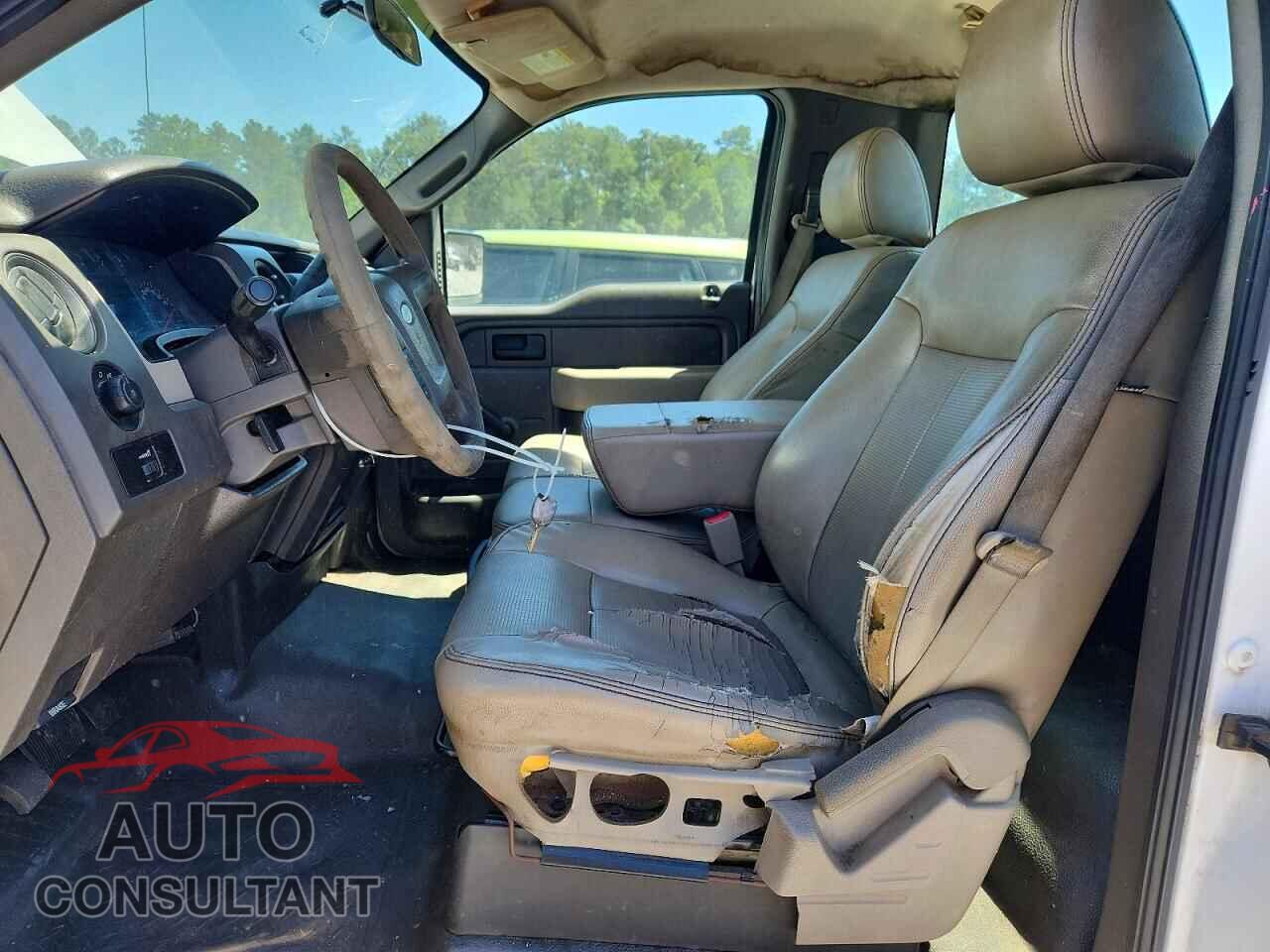 FORD F150 2010 - 1FTMF1CW3AFD49318