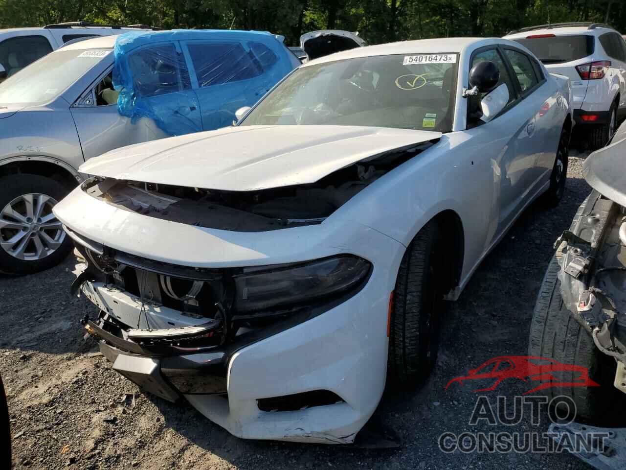 DODGE CHARGER 2019 - 2C3CDXKT2KH647410