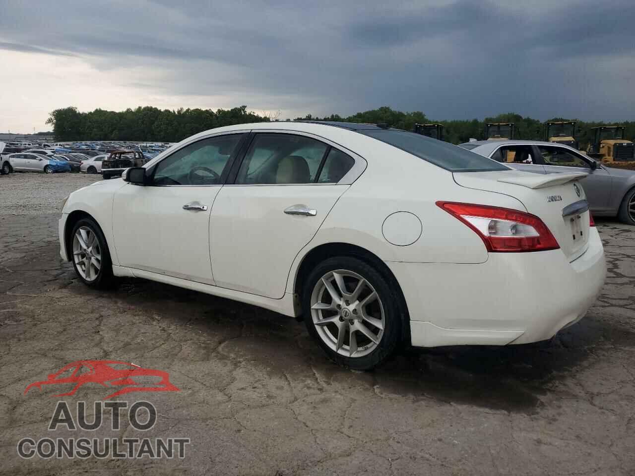 NISSAN MAXIMA 2011 - 1N4AA5AP0BC803067