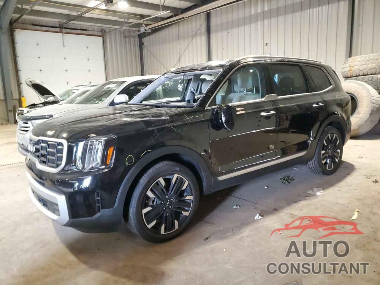 KIA TELLURIDE 2024 - 5XYP5DGC7RG406985