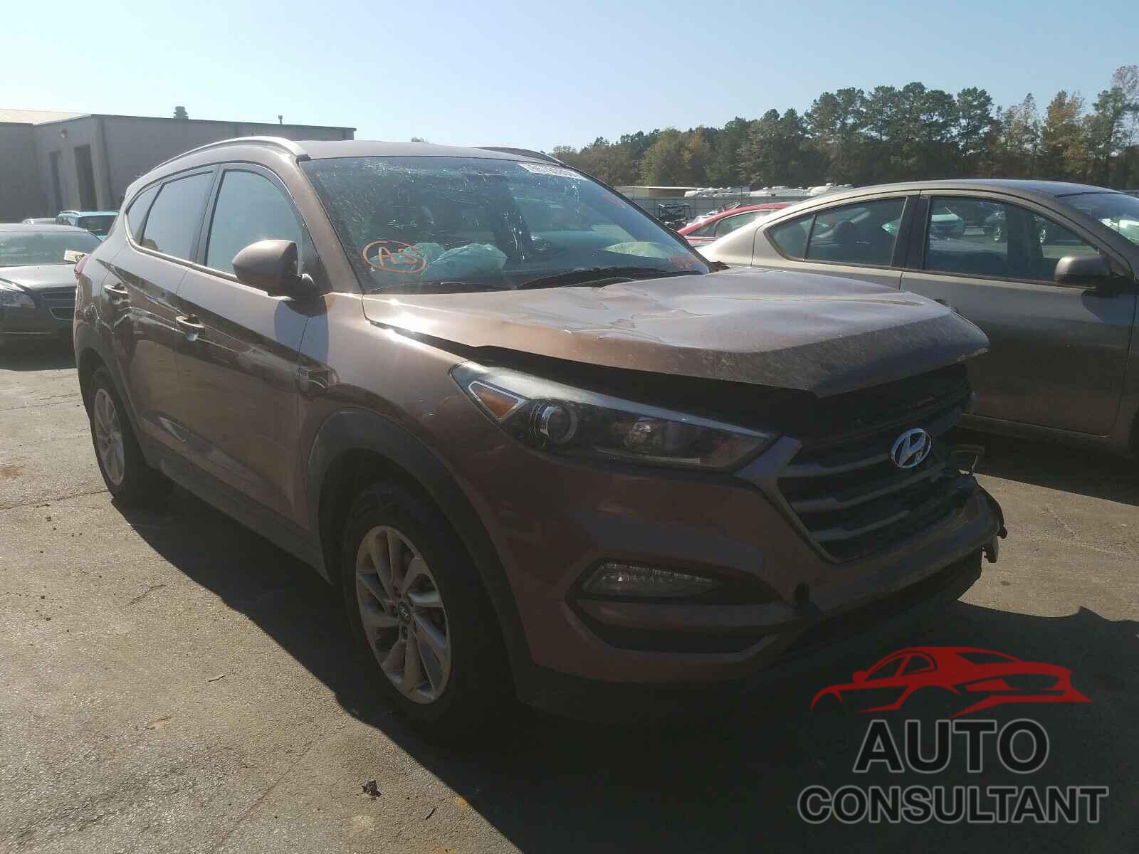 HYUNDAI TUCSON 2016 - KM8J33A41GU026796