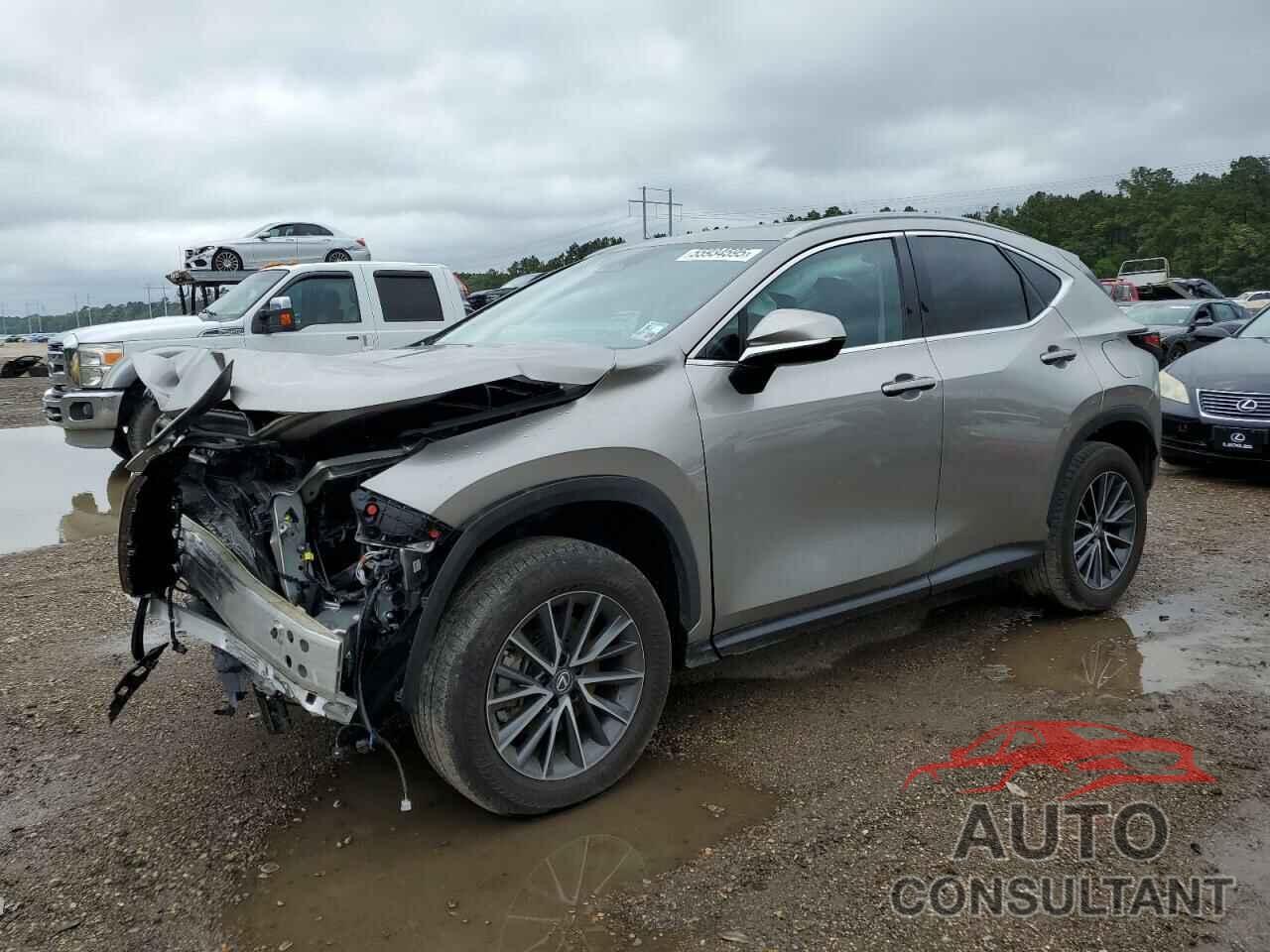 LEXUS NX 350 2022 - 2T2GGCEZ8NC007791