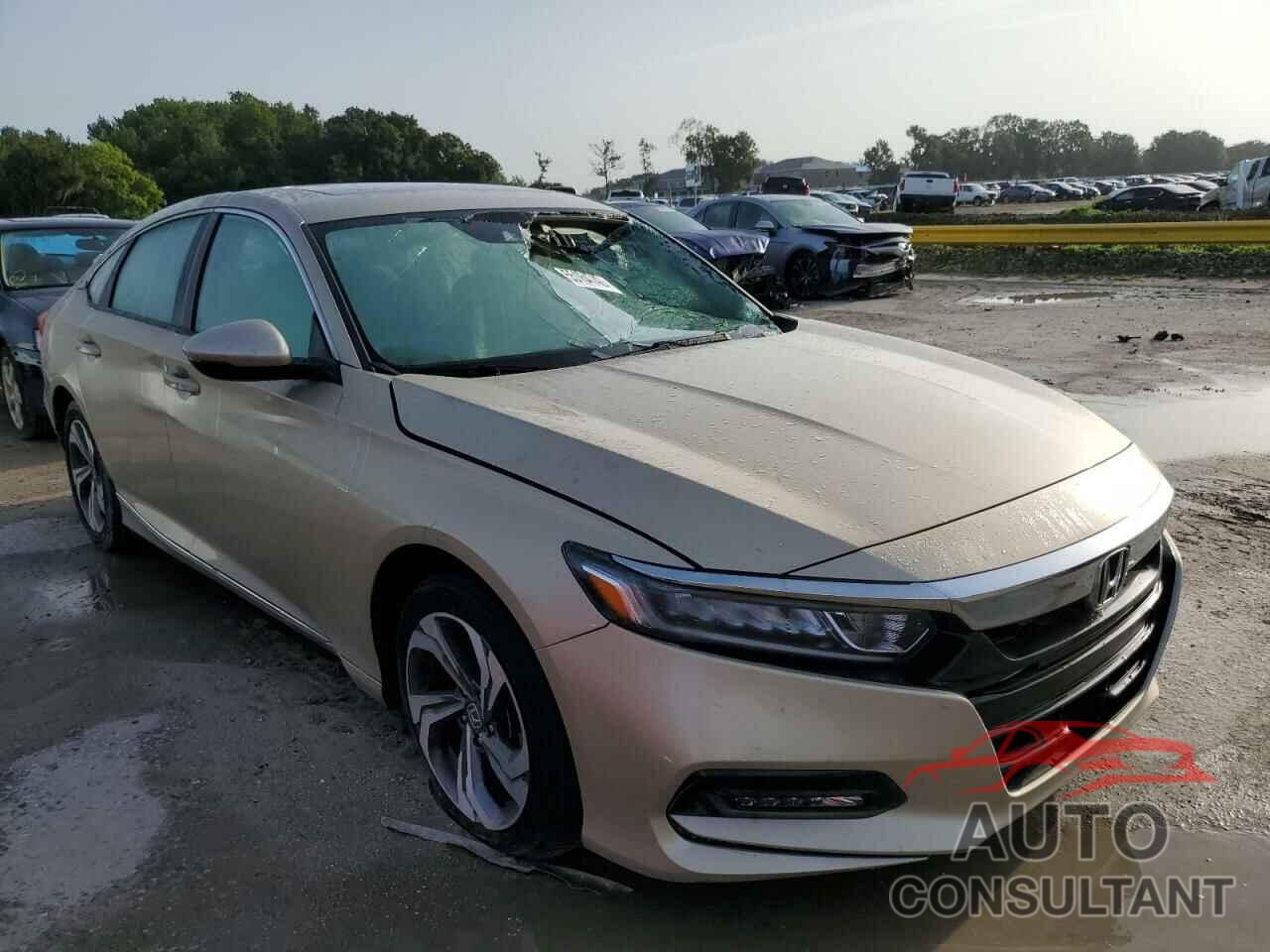 HONDA ACCORD 2019 - 1HGCV1F5XKA074970