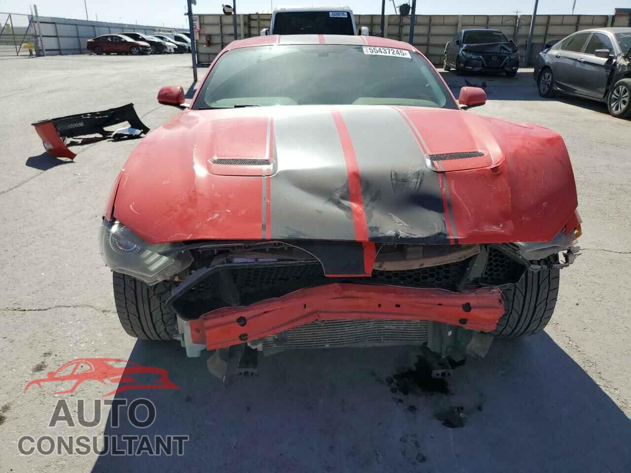FORD MUSTANG 2019 - 1FA6P8CF5K5134342