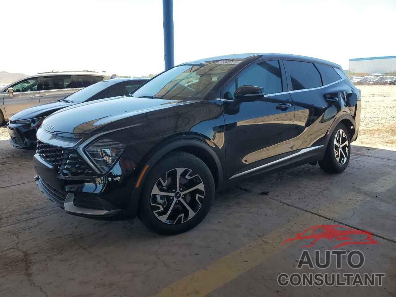 KIA SPORTAGE 2024 - 5XYK33DF1RG209724