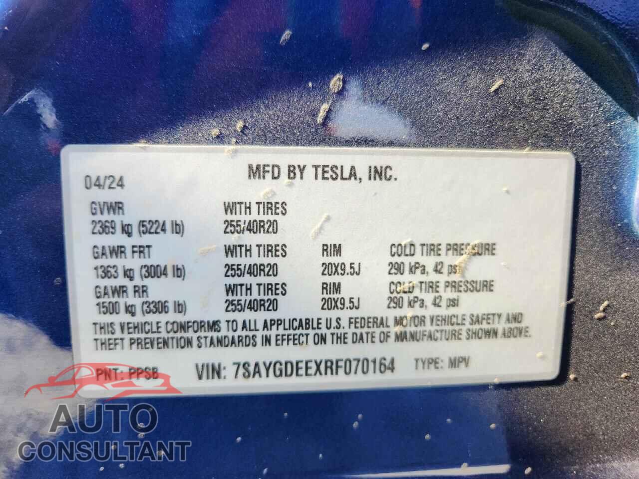 TESLA MODEL Y 2024 - 7SAYGDEEXRF070164
