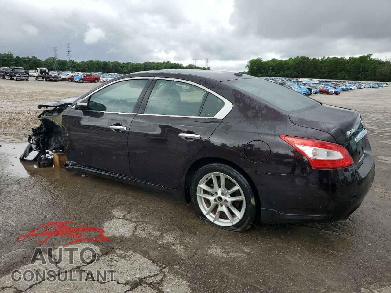 NISSAN MAXIMA 2011 - 1N4AA5AP7BC821453