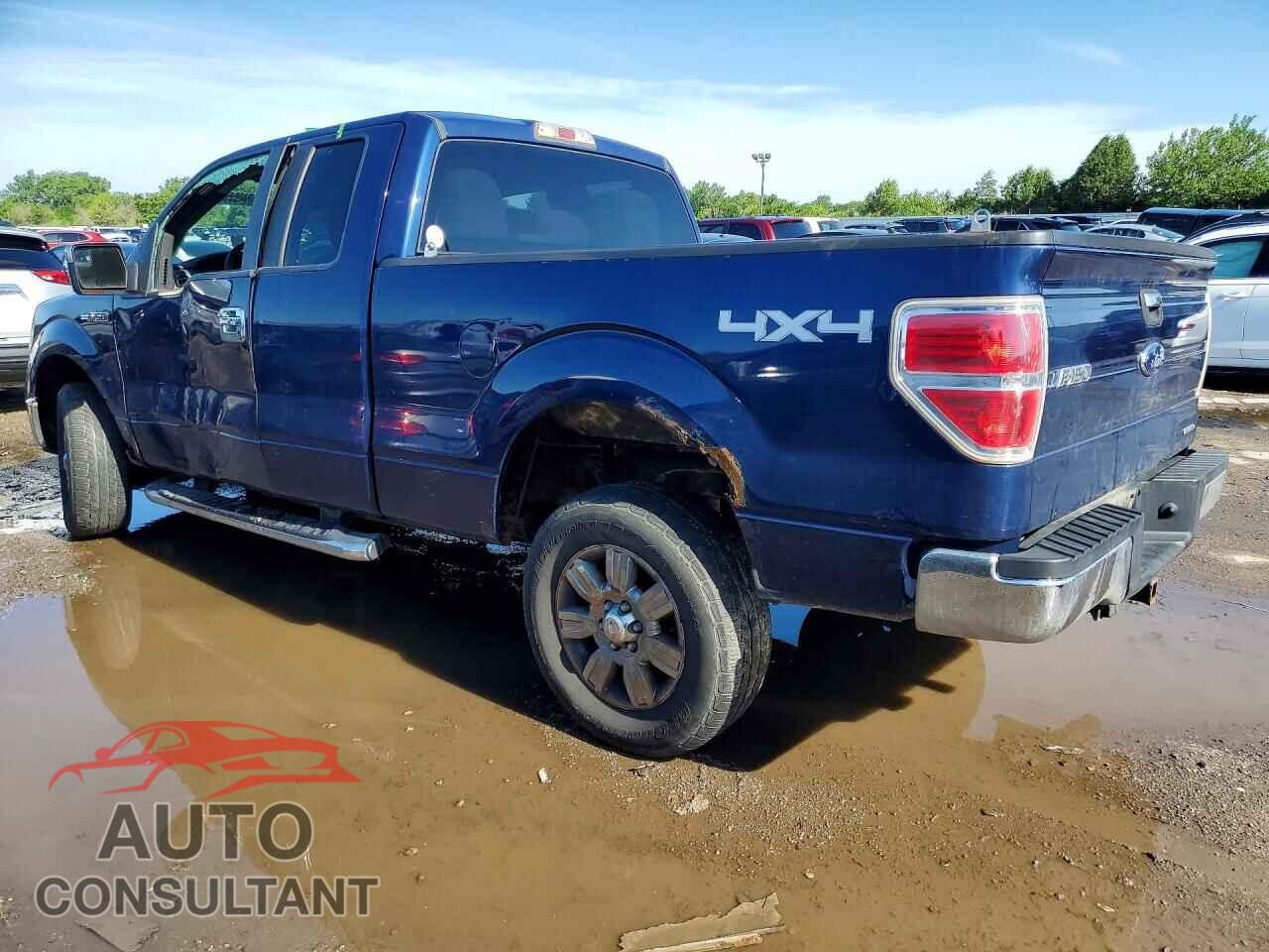 FORD F150 2011 - 1FTFX1EF1BFB31978