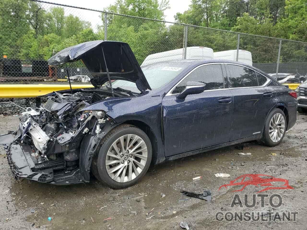 LEXUS ES300 2019 - 58AB21B14KU002199