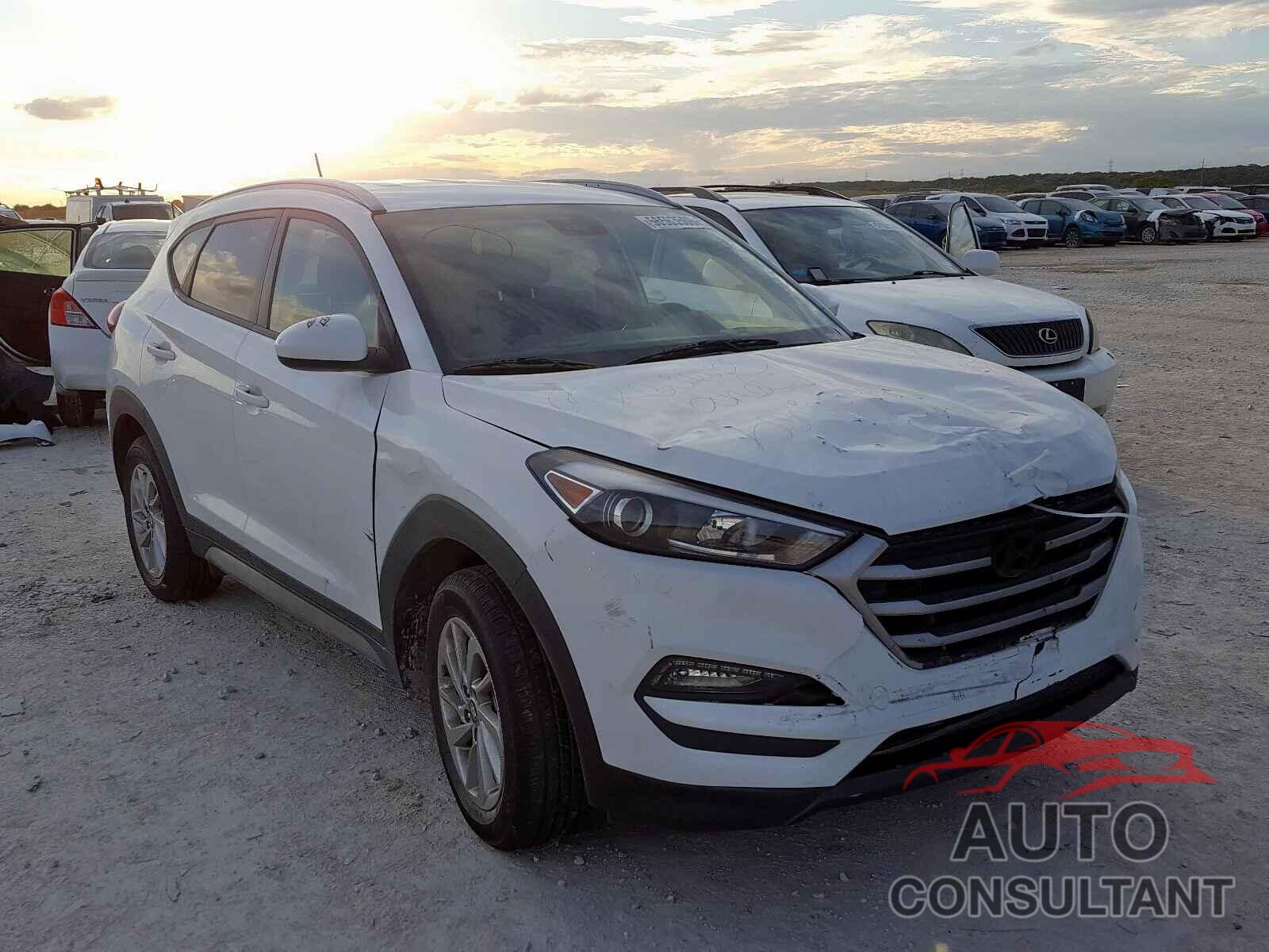 HYUNDAI TUCSON 2017 - KM8J33A47HU265853
