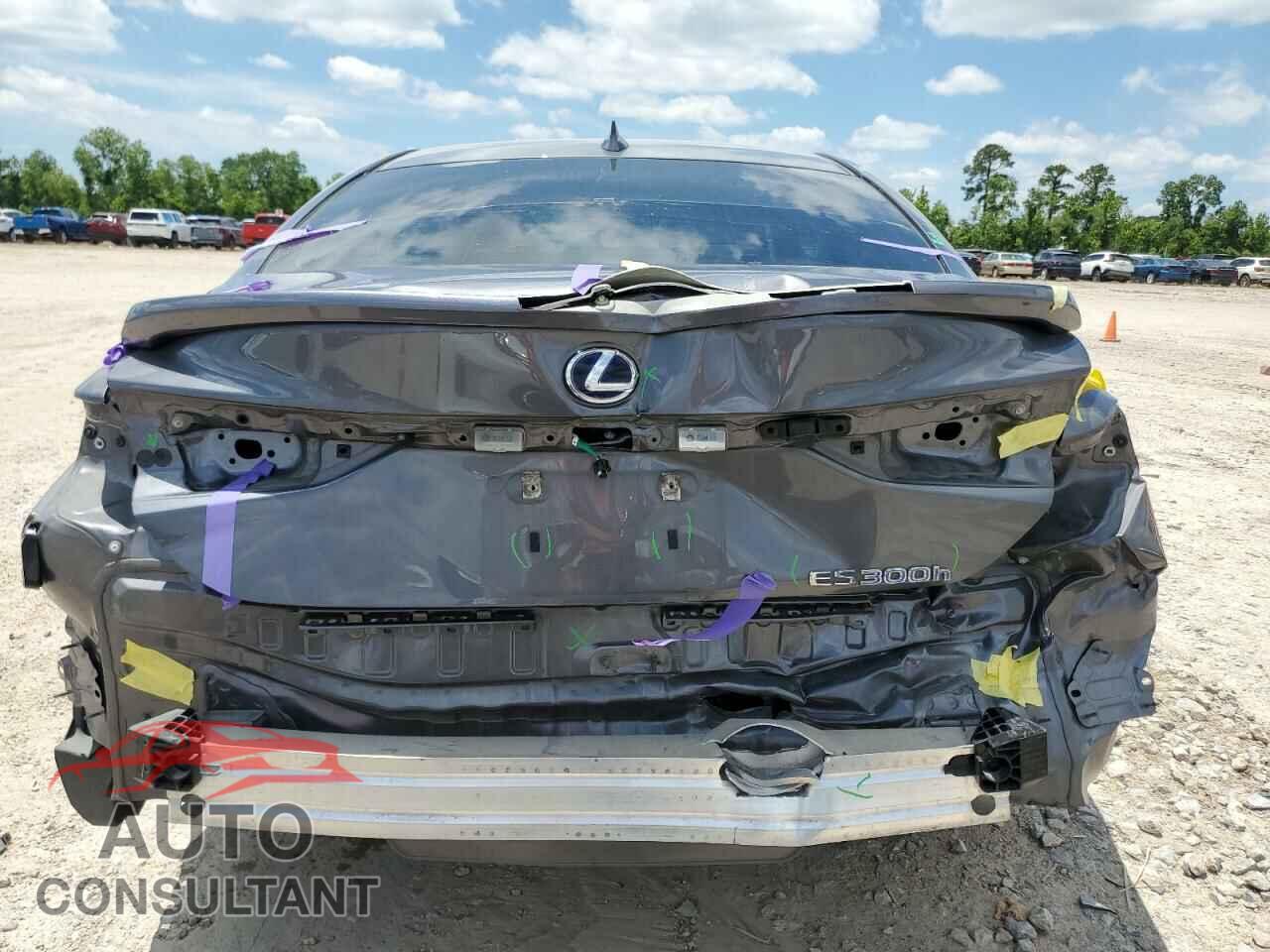LEXUS ES300 2021 - 58ADA1C19MU004348