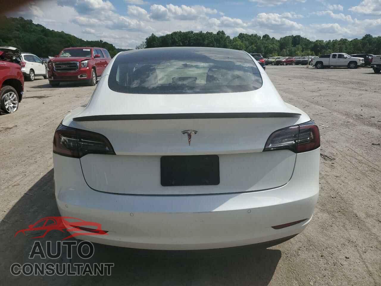 TESLA MODEL 3 2020 - 5YJ3E1EA1LF793045