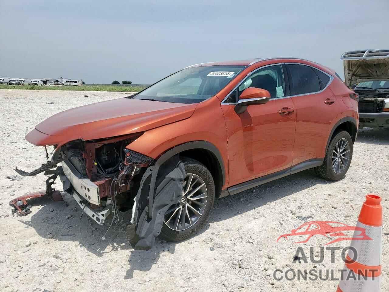 LEXUS NX 350 2023 - 2T2AGCEZ7PC023103