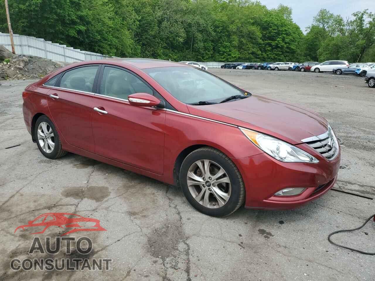 HYUNDAI SONATA 2013 - 5NPEC4AC4DH620579