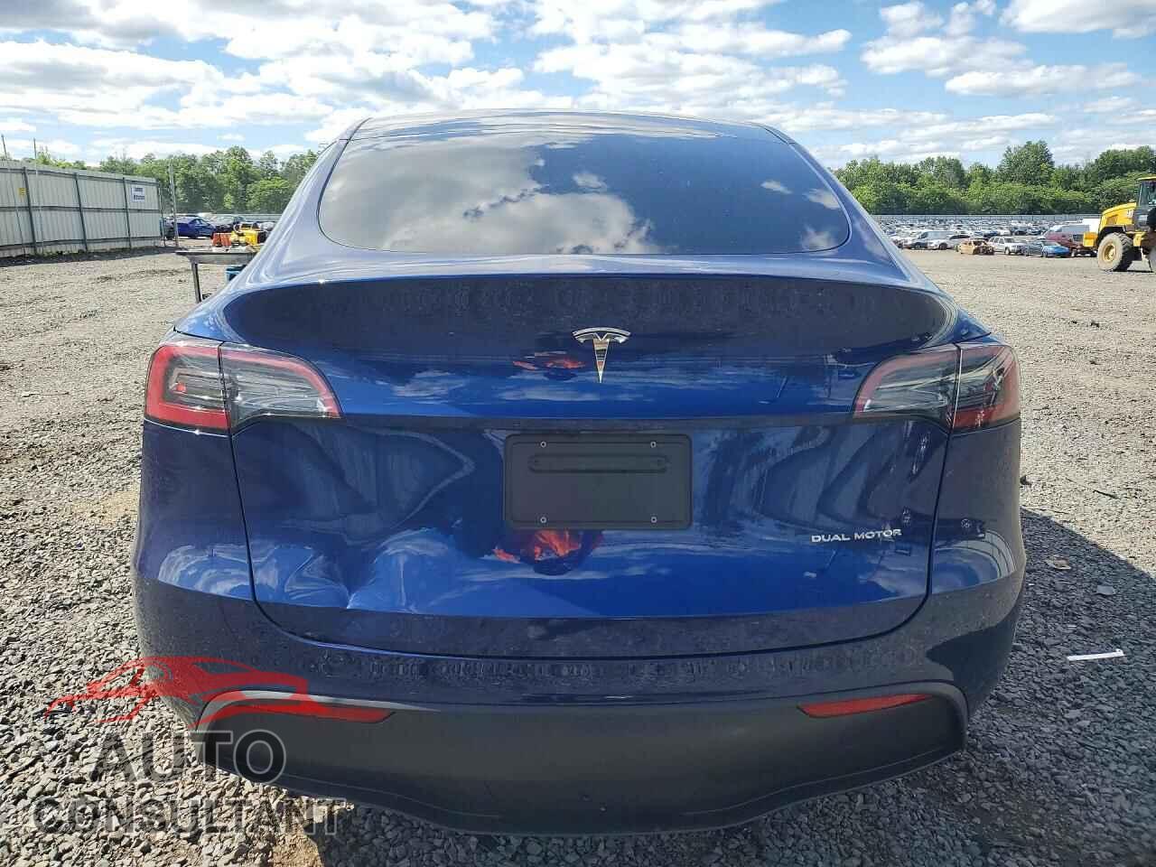 TESLA MODEL Y 2024 - 7SAYGDEE9RF007699