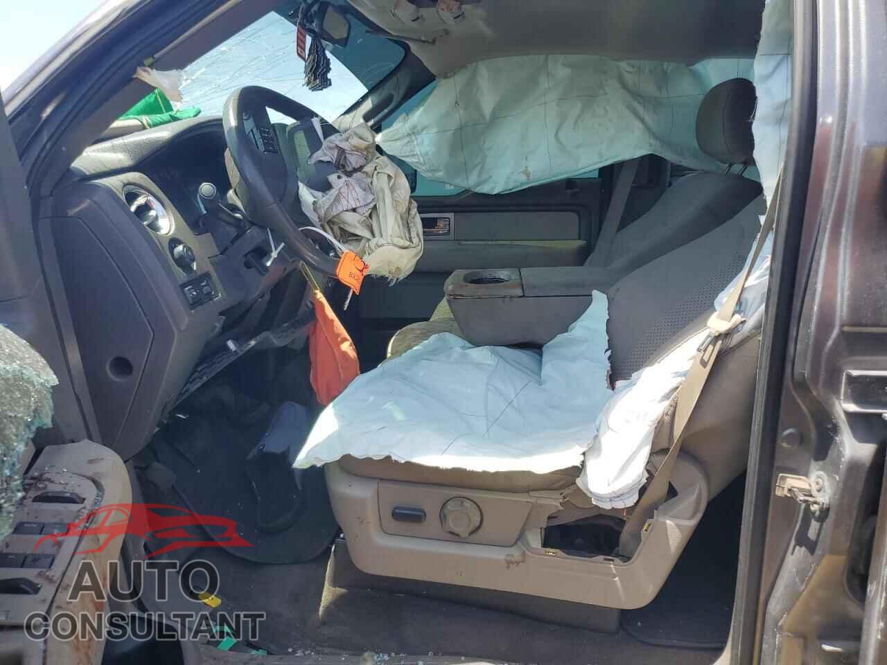 FORD F-150 2010 - 1FTEW1C81AFB68563