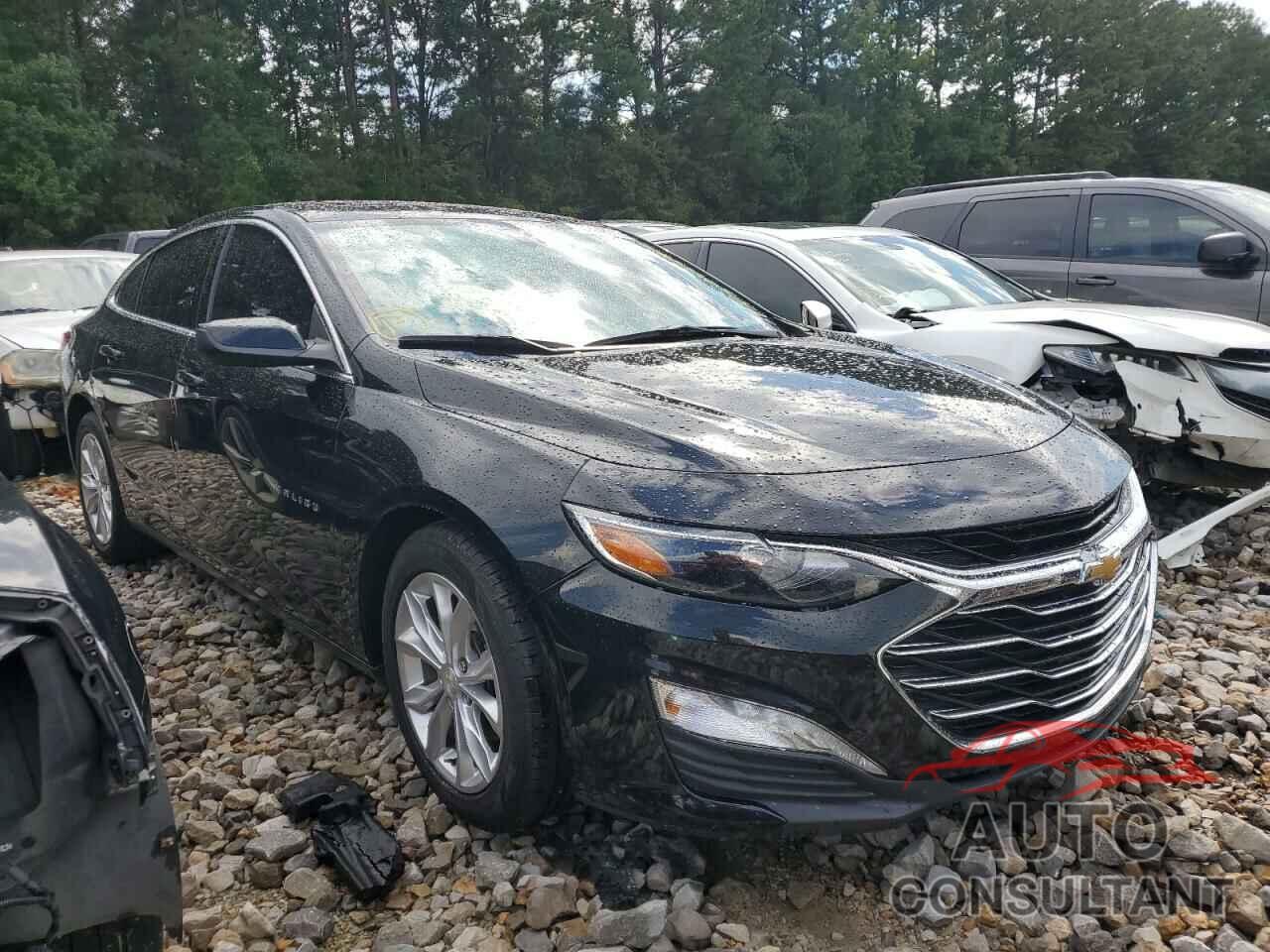 CHEVROLET MALIBU 2019 - 1G1ZD5ST0KF111334