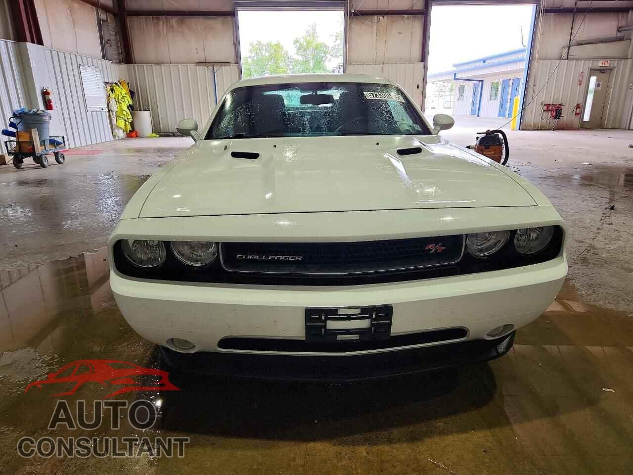 DODGE CHALLENGER 2013 - 2C3CDYBTXDH554269