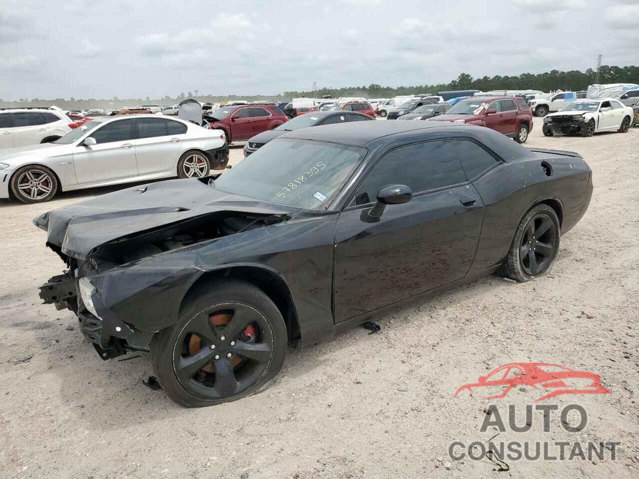 DODGE CHALLENGER 2013 - 2C3CDYBT3DH670283