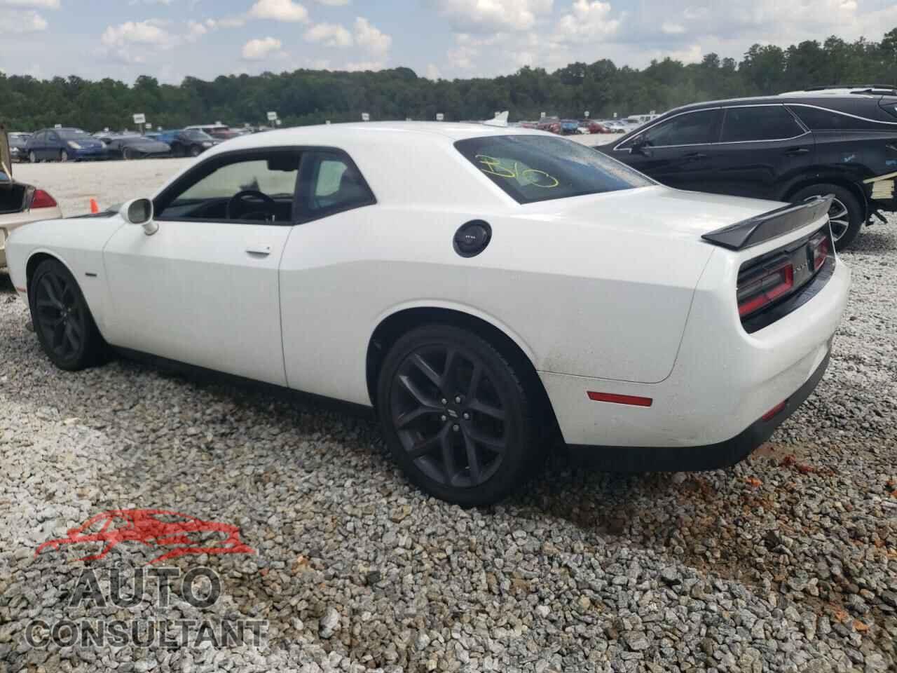 DODGE CHALLENGER 2019 - 2C3CDZBTXKH652446