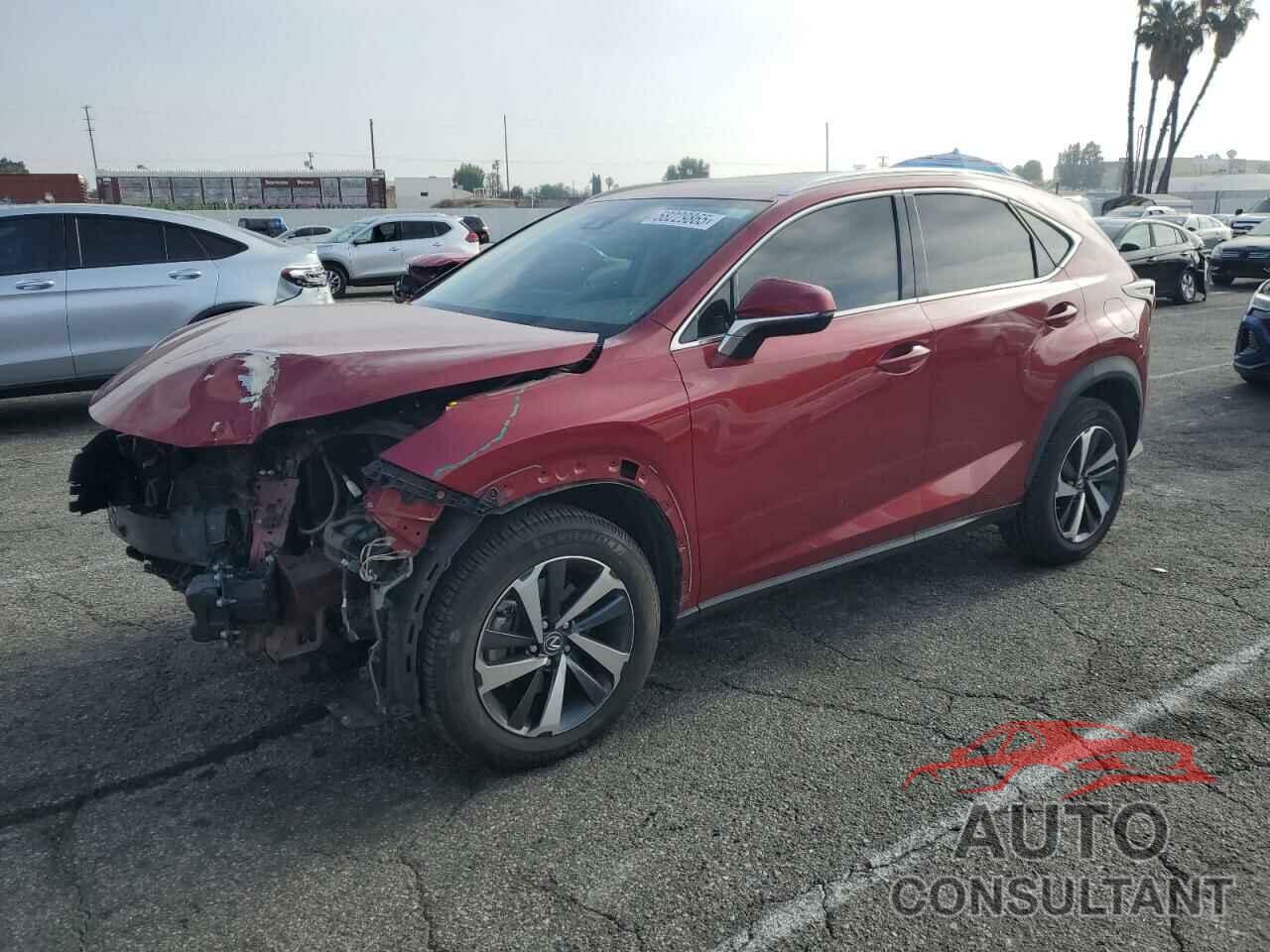 LEXUS NX 2020 - JTJDARBZ3L5007219