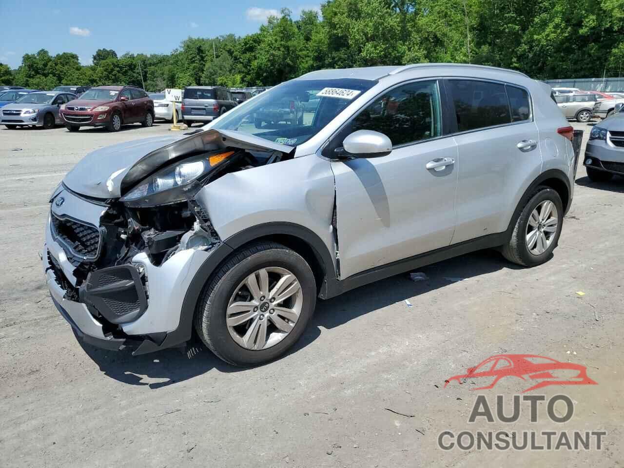 KIA SPORTAGE 2019 - KNDPM3AC7K7534491