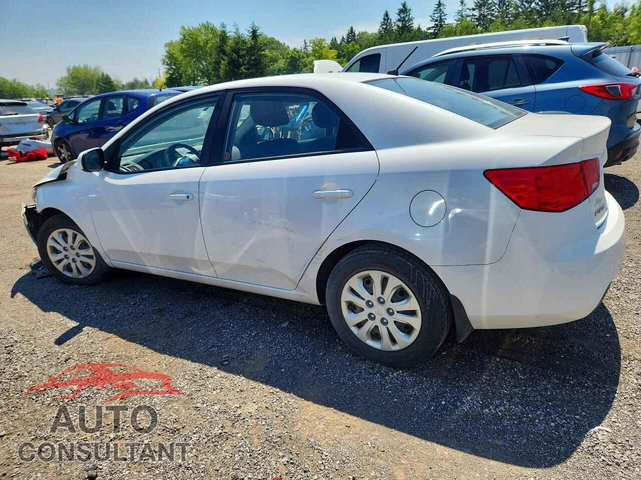 KIA FORTE 2011 - KNAFT4A26B5349014