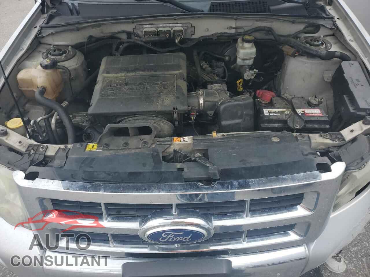 FORD ESCAPE 2011 - 1FMCU0EG5BKB70588