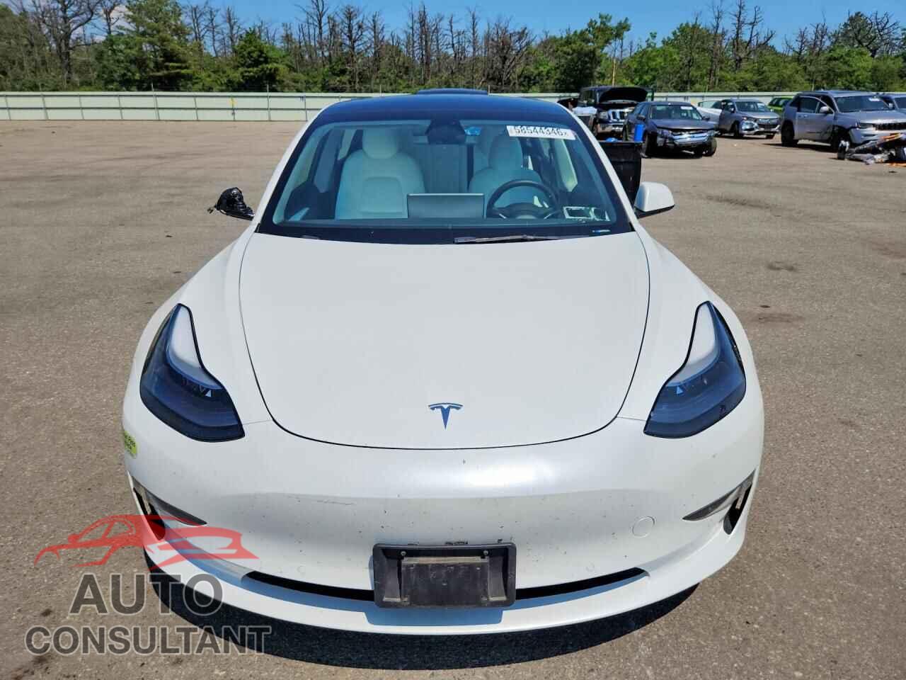TESLA MODEL 3 2022 - 5YJ3E1EB2NF176975