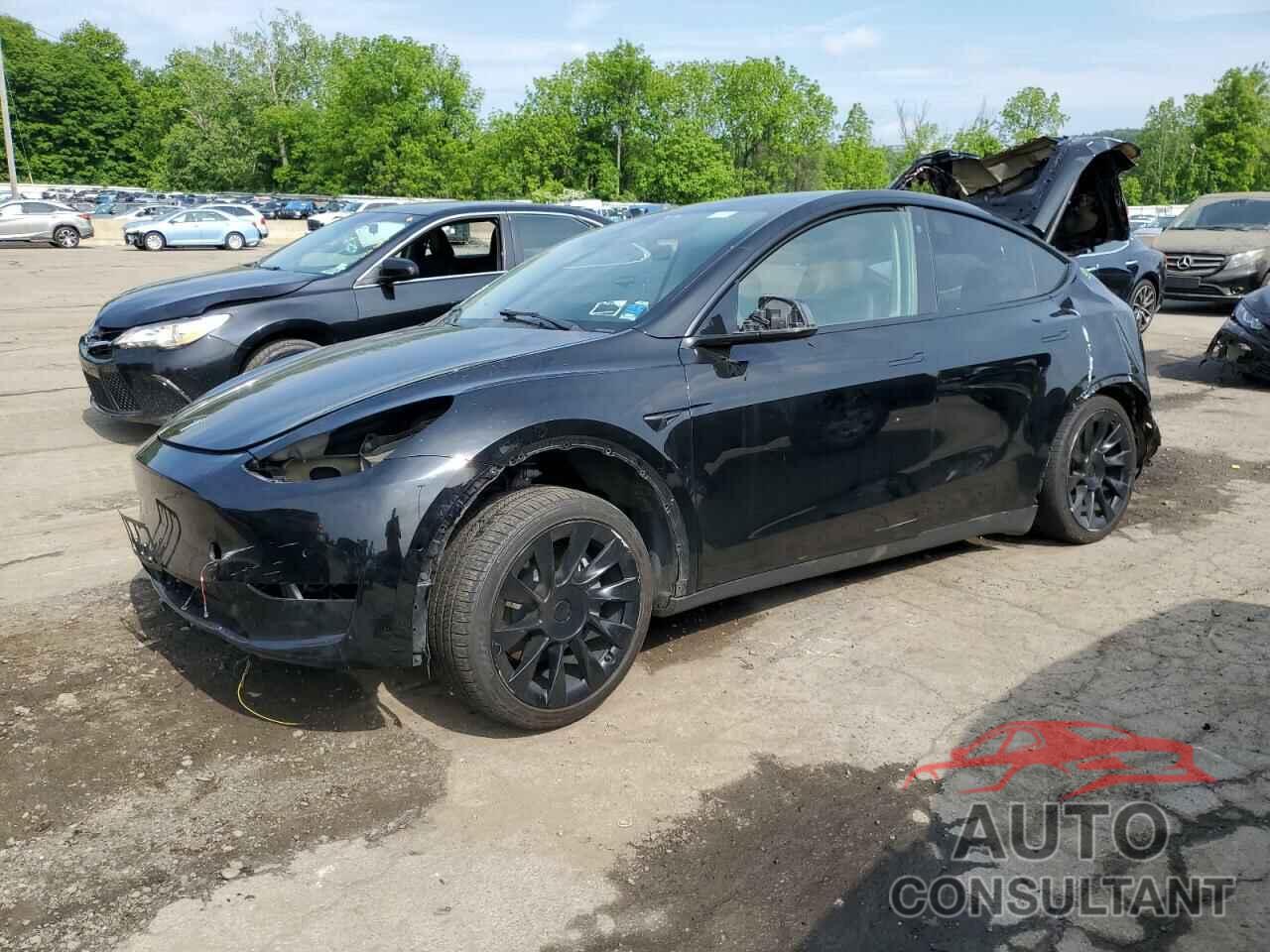 TESLA MODEL Y 2022 - 7SAYGDEE6NF386753