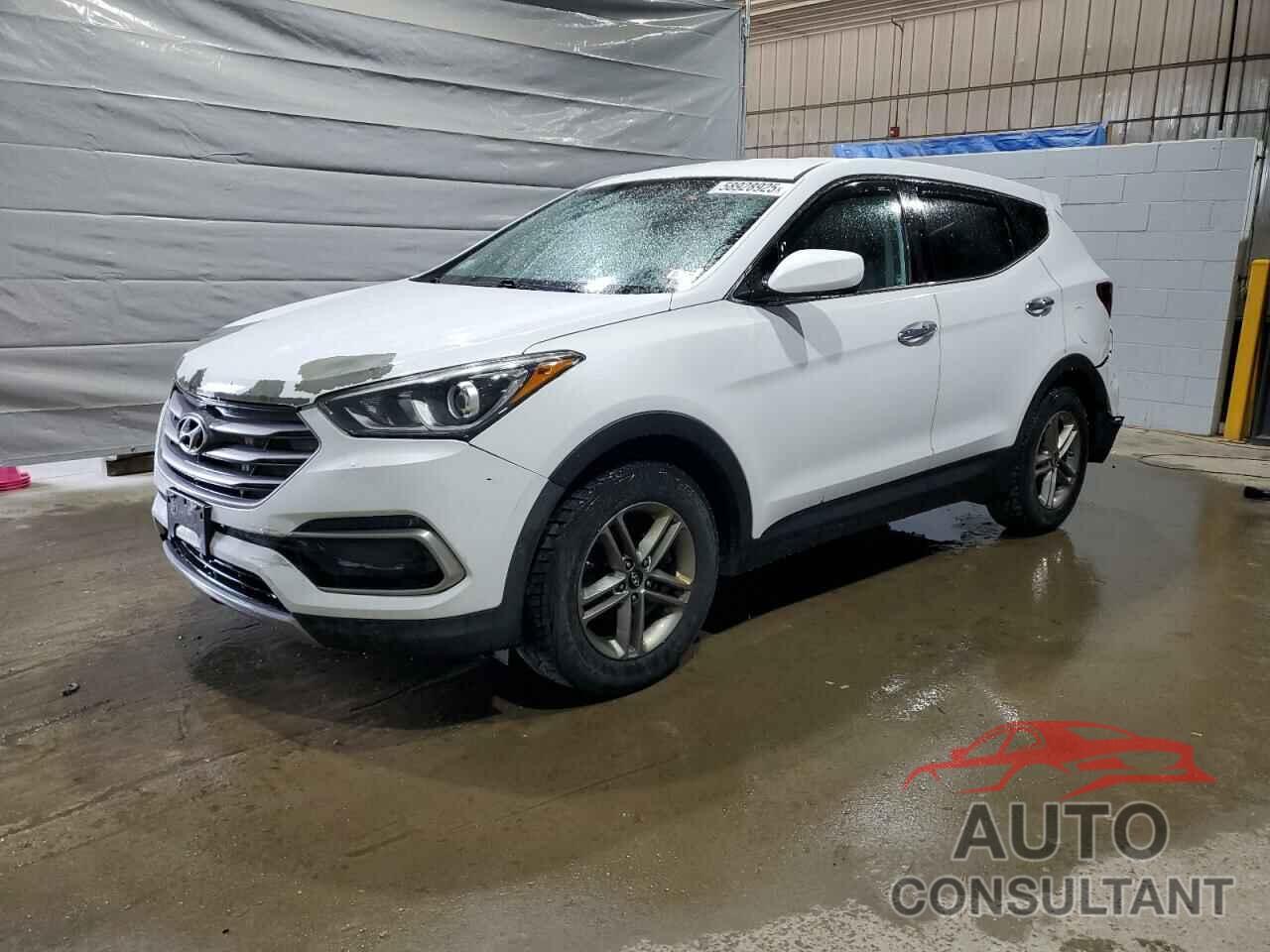 HYUNDAI SANTA FE 2017 - 5NMZTDLB9HH010315